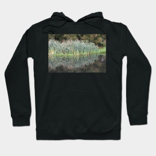 Reflections Hoodie